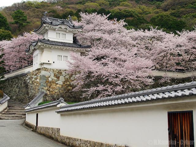 Tatsuno Castle